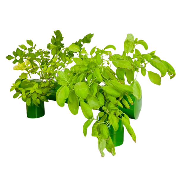 HydroGrow Table Top Hydroponic Planter - Image 3