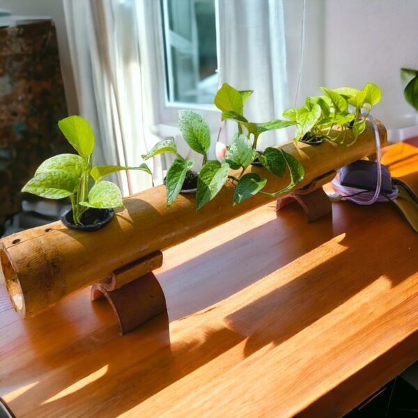 Hydroponic table top