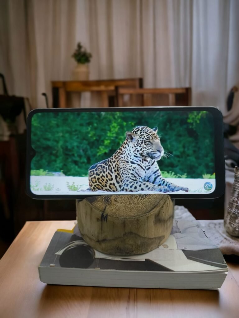 HoldOn eco stand