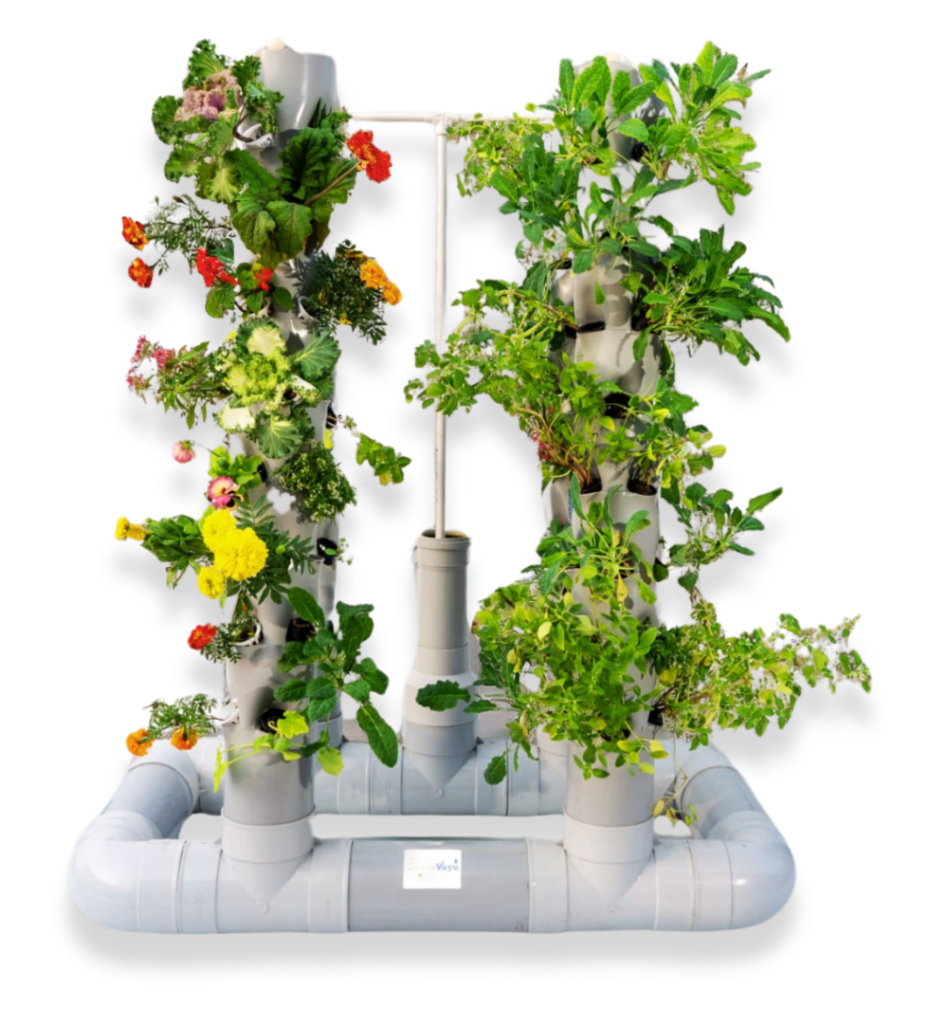 Money maker hydroponic
