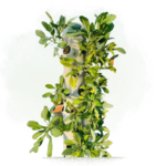 Aeroponic Tower