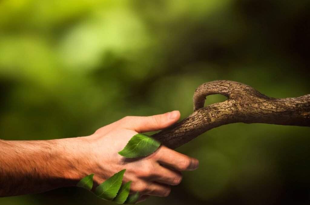 Sustainable Farming Tech
