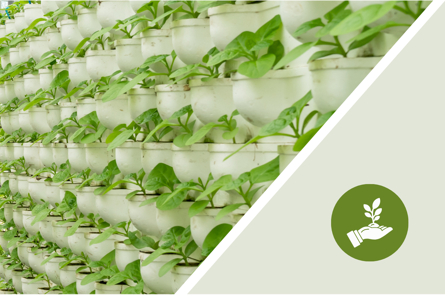 Future of farming